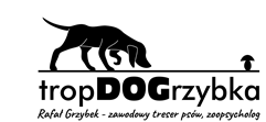 logo tropdogrzybka - bonefido.pl